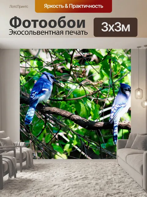 Фотообои Птицы