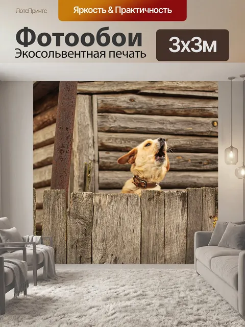 Фотообои Собака