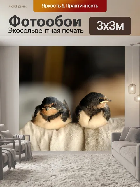 Фотообои Птицы