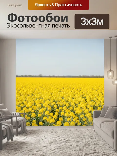 Фотообои Желтое поле рапса