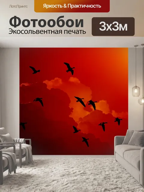 Фотообои Дикие гуси