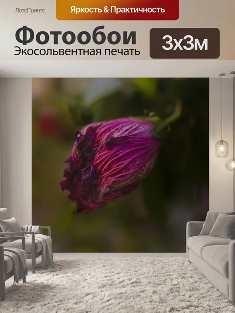 Фотообои Цветы