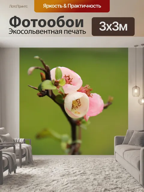 Фотообои Цветок