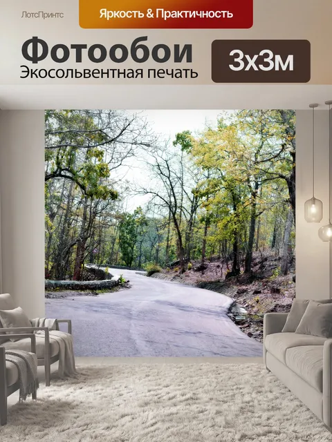 Фотообои Дорога через лес