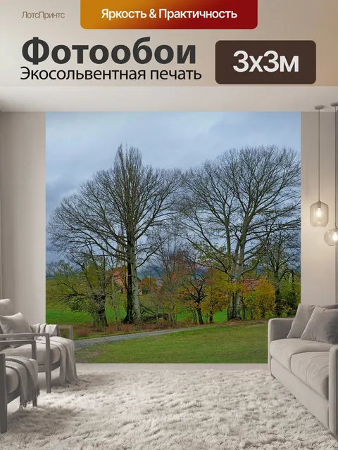 Фотообои Деревья
