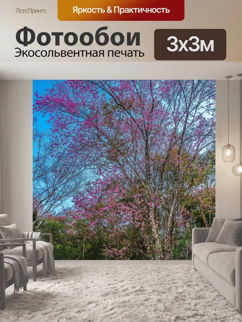 Фотообои Дикая гималайская вишня, Чианг Рай,