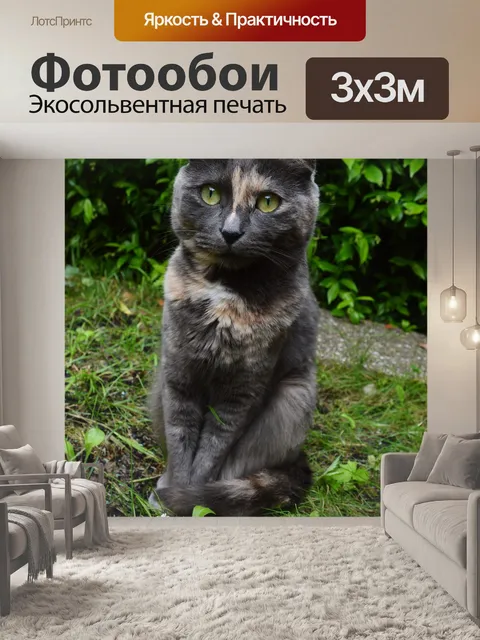 Фотообои Милый