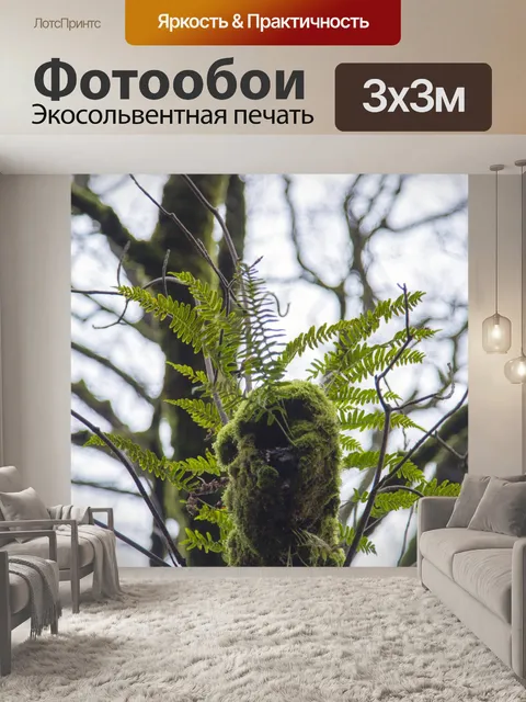 Фотообои Филиал дерева с листьем папоротника