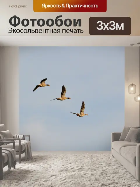 Фотообои Гуси