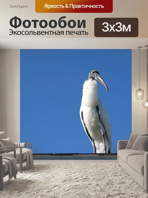 Фотообои Деревянный аист