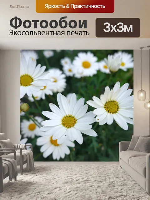 Фотообои Маргаритки