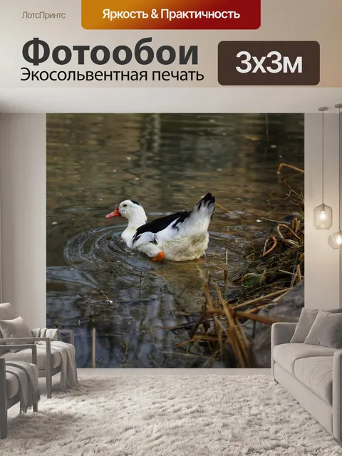 Фотообои Берег реки