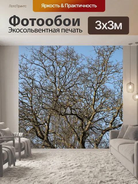 Фотообои Дерево