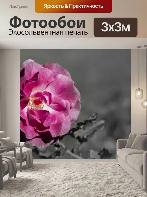 Фотообои Роза