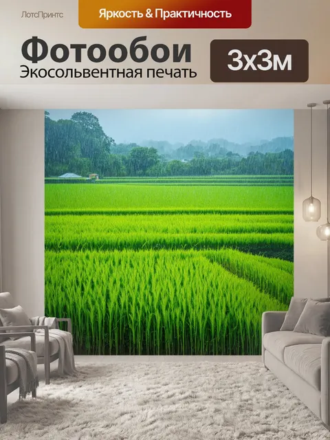 Фотообои япония, наслаждающиеся мирным пейзажем рисовых полей, где дождь легонько покрывает растения, создавая блеск…