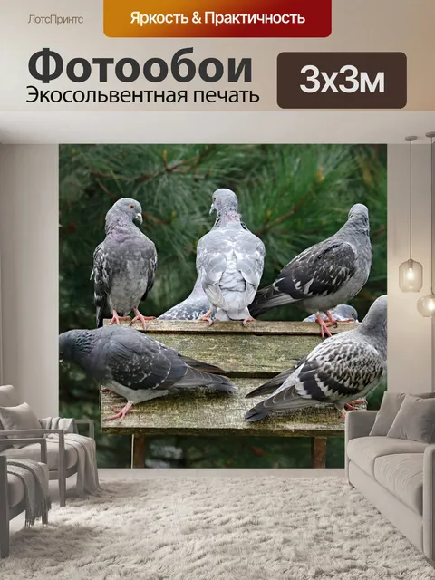 Фотообои Птицы