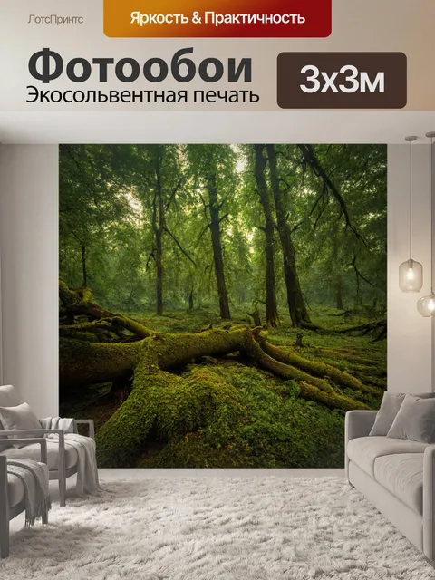 Фотообои мистический лес с древними деревьями