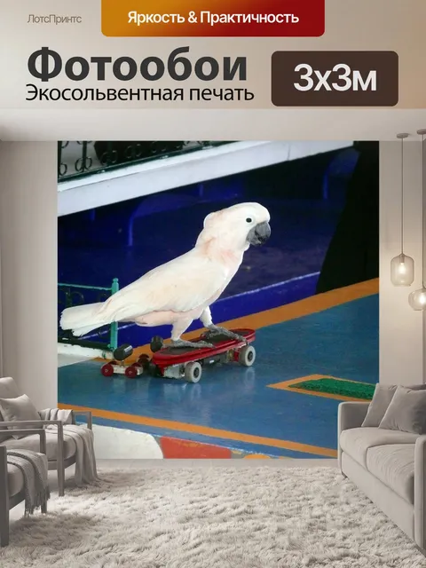 Фотообои Попугай
