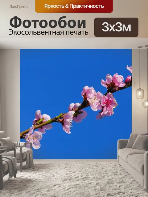 Фотообои Персик