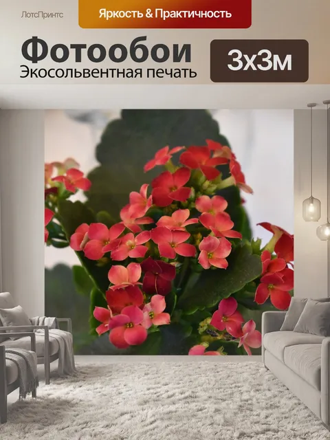 Фотообои Цветы