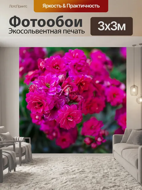 Фотообои Цветы