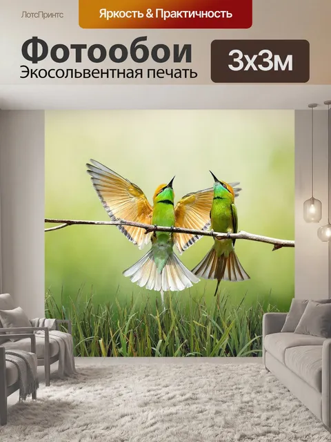 Фотообои Птицы