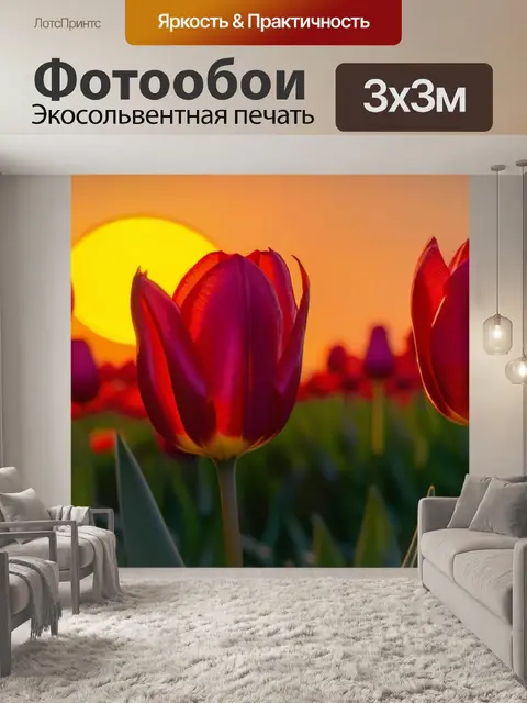 Фотообои тюльпаны в свете заката