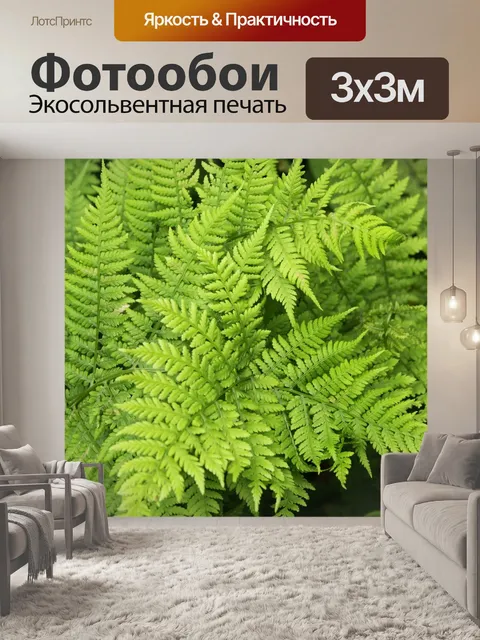Фотообои Папоротники