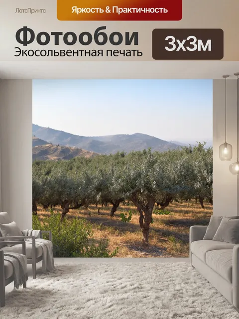 Фотообои греция, мирное утро в горах, оливковые рощи, туман над холмами, звуки природы, прохладный ветер, запахи…