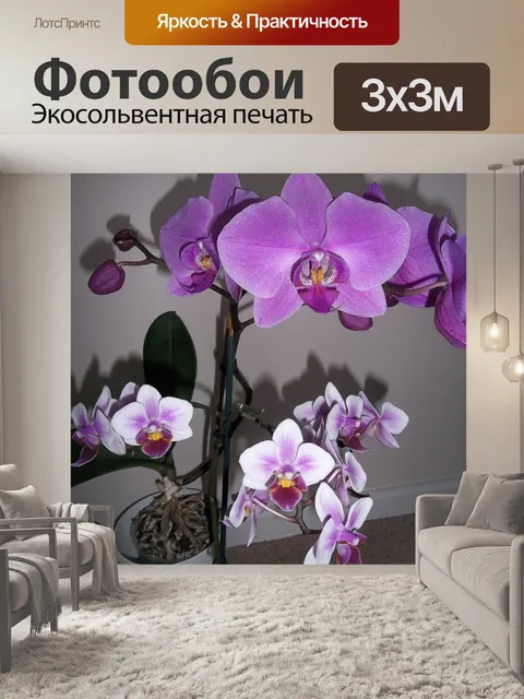 Фотообои Орхидеи
