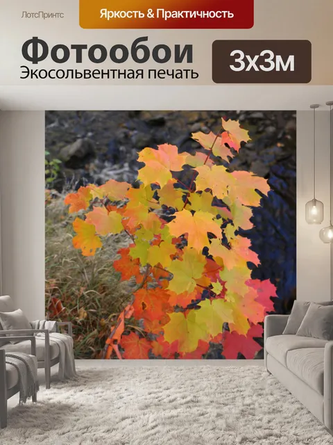 Фотообои Осенний кленовый комок
