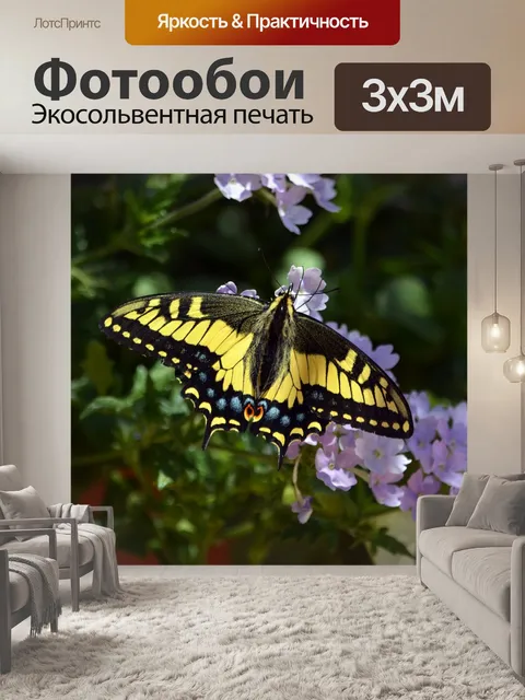 Фотообои Бабочка