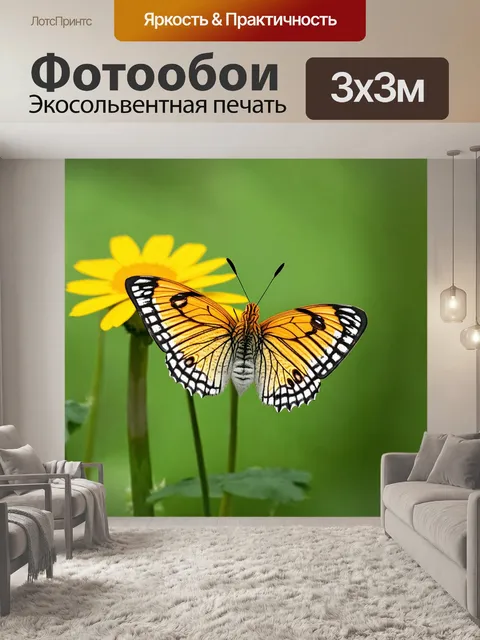 Фотообои бабочки