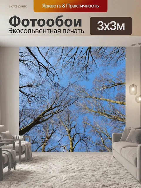 Фотообои Деревья