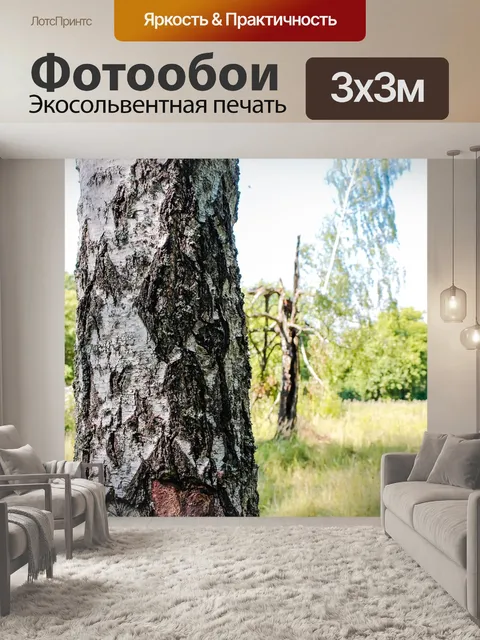 Фотообои Береза
