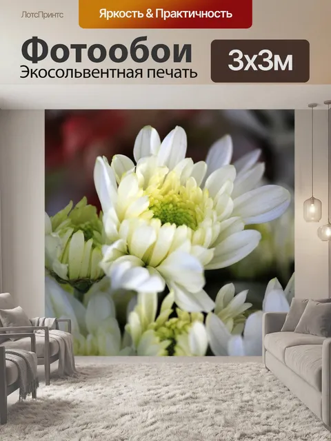 Фотообои белые цветы 3