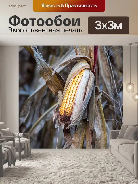 Фотообои Природа