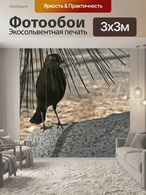 Фотообои Птица