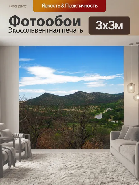 Фотообои вид с воздуха на долину с рекой