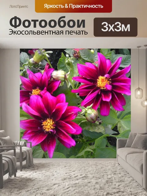 Фотообои Цветы