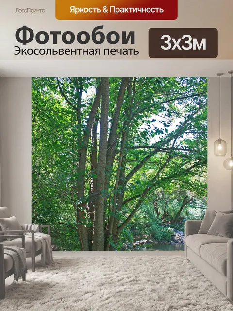 Фотообои деревья рядом с рекой