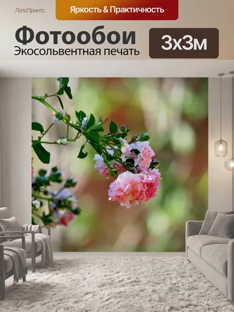 Фотообои розовый бессвязных роза