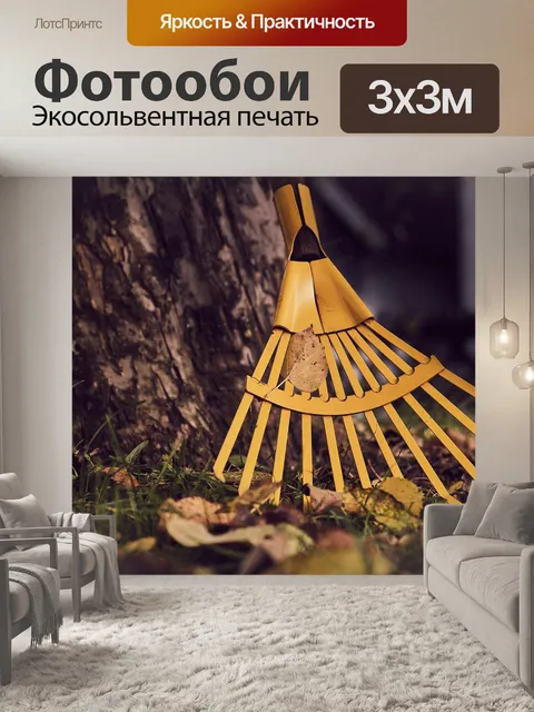 Фотообои Вычисления