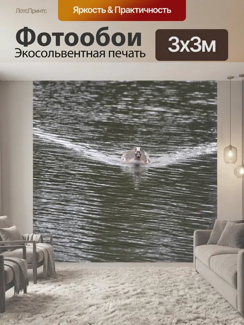 Фотообои Река