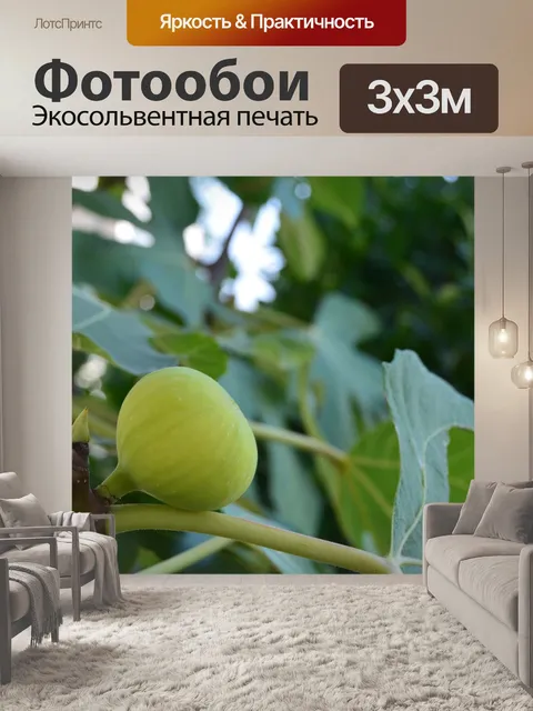 Фотообои Фрукты