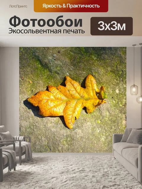 Фотообои Лист