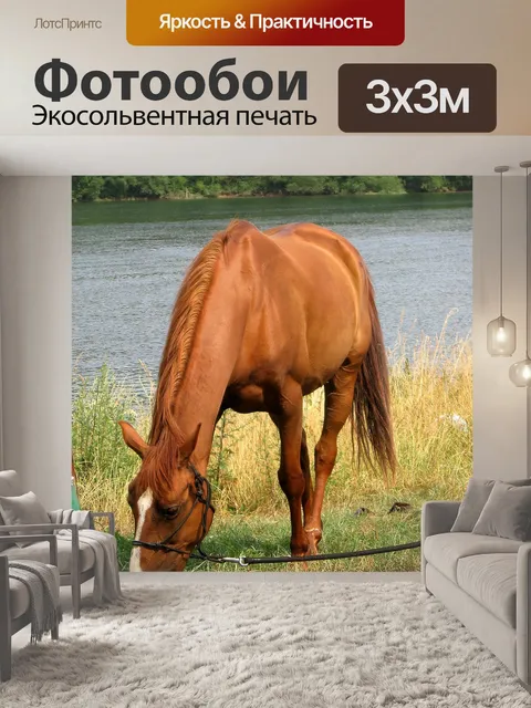 Фотообои Лошади