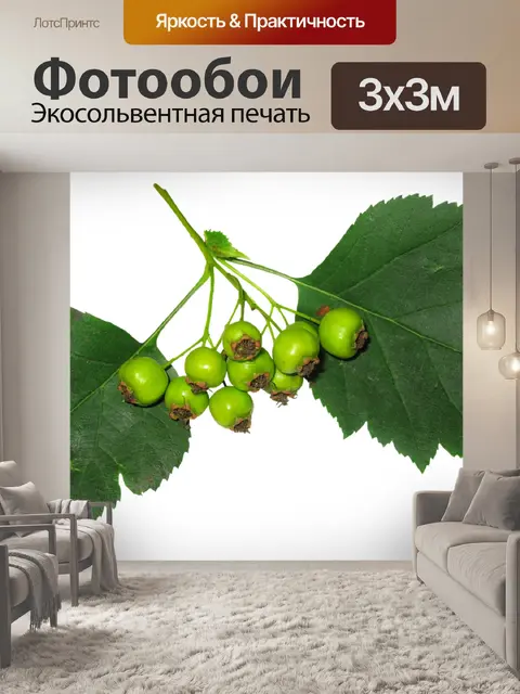 Фотообои Листья