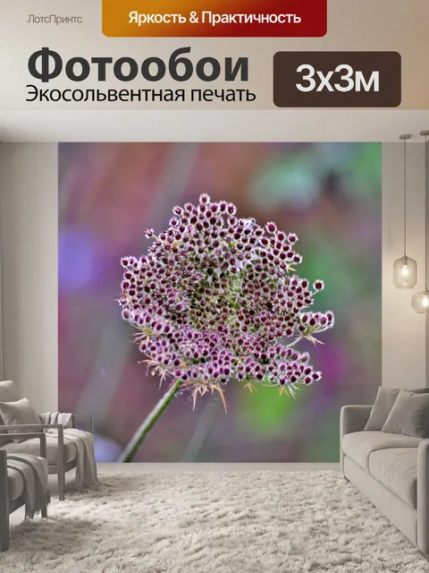 Фотообои Зонтик