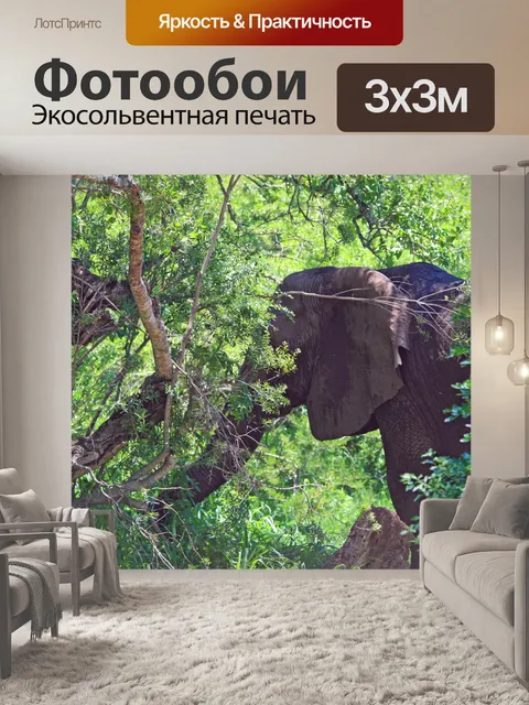Фотообои слон затемняется куста